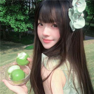 警花燕子